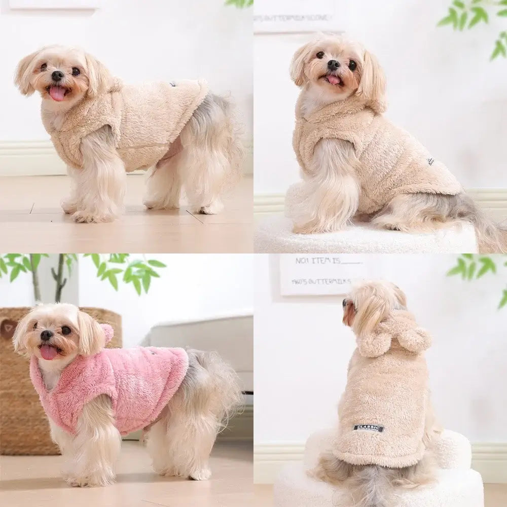 Cozy Winter Pet Hoodie