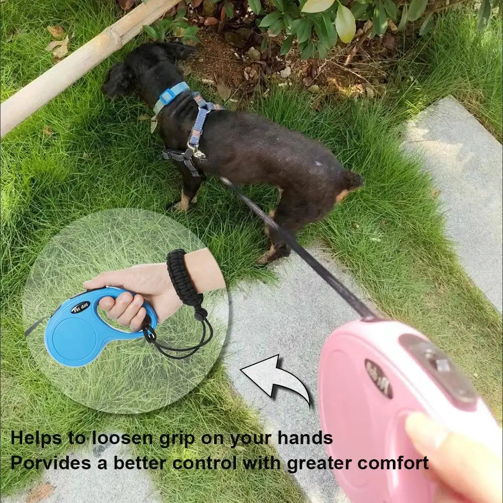 Hands-Free Dog Leash