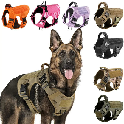 Tactical Dog Training Harness